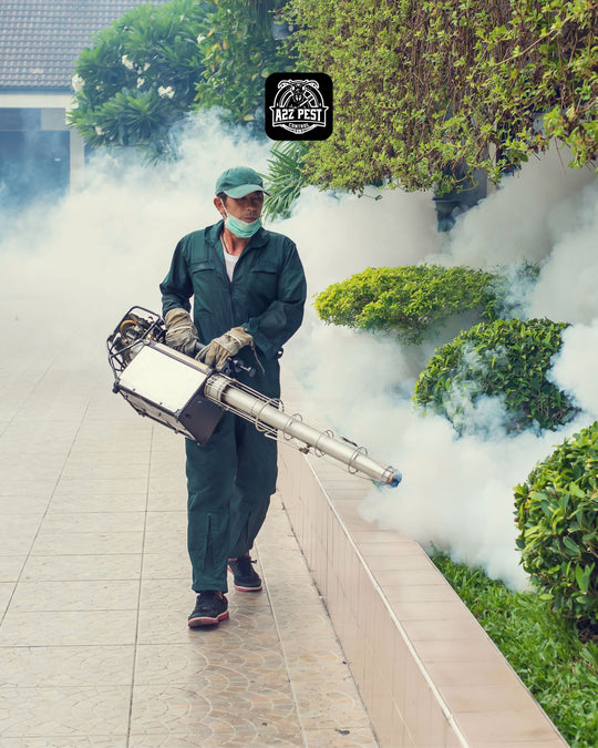 Mosquitoes/Flies Control